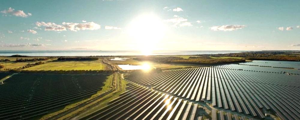 Lidsö solenergipark i Danmark. Foto: Alight