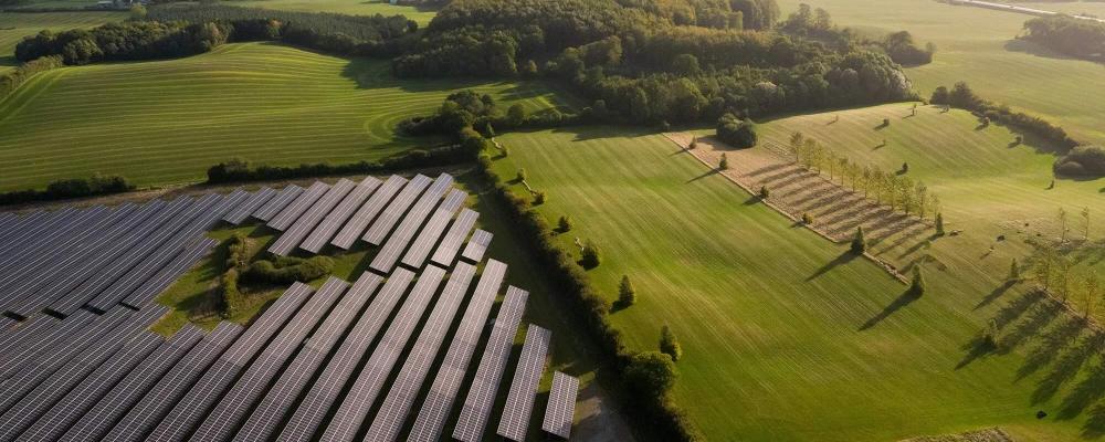 Better Energys vindpark i närheten av danska staden Svendborg. Foto: Better Energy