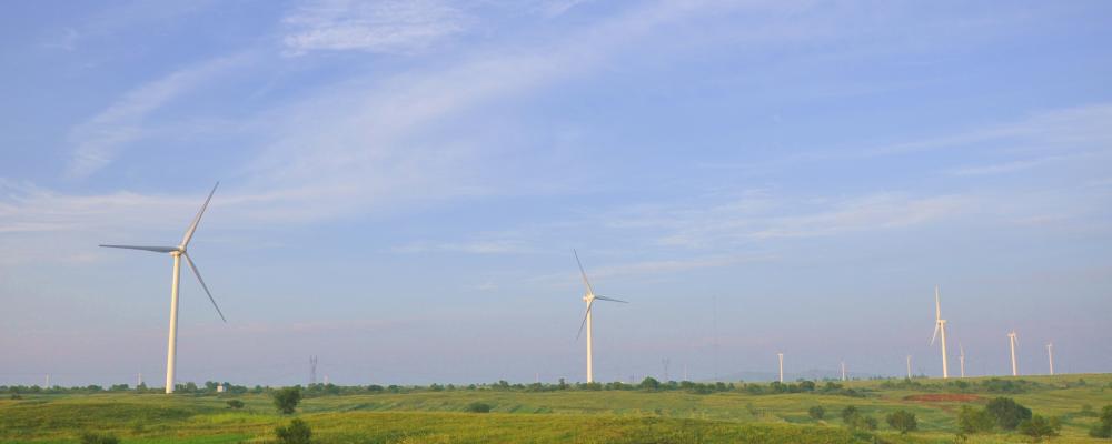 Vindkraftsfält. Pressbild: gabriel xu / Unsplash