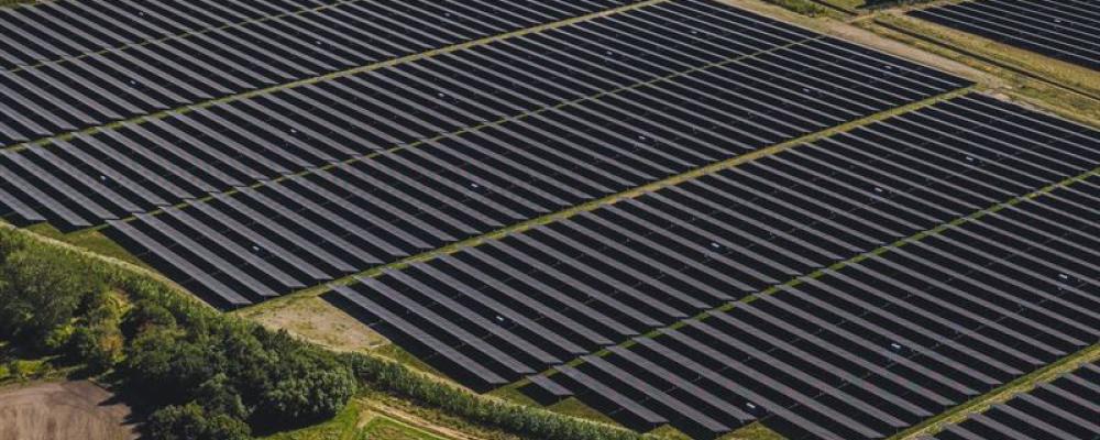 Bild från Alights 215 MWp solpark på Lolland i Danmark.