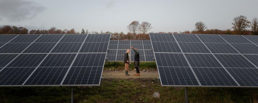 Solpark. Pressbild: Turn Energy
