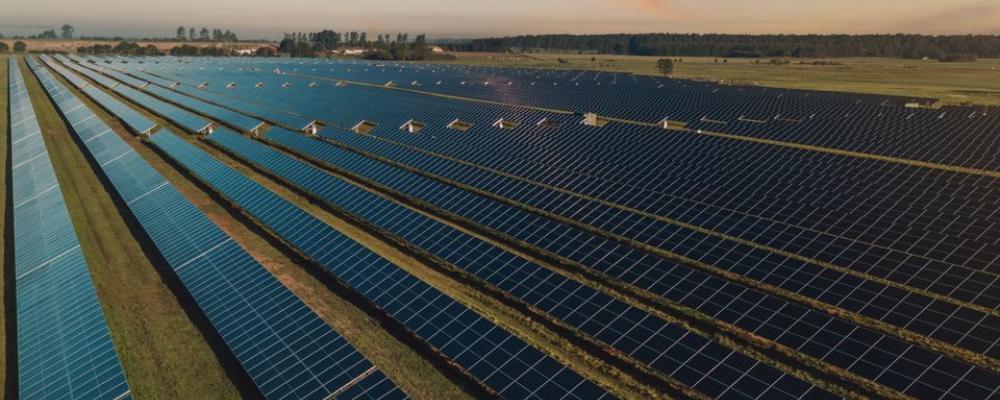 Svea Solars solpark i Sjöbo.Foto: Svea Solar