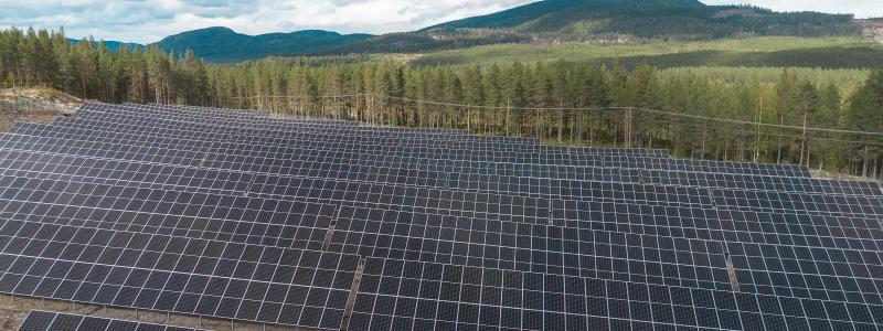 Pressbild: Solgrid