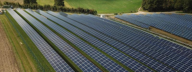 Solceller i skog. Pressbild: Kungl. Skogs- och Lantbruksakademien, KSLA