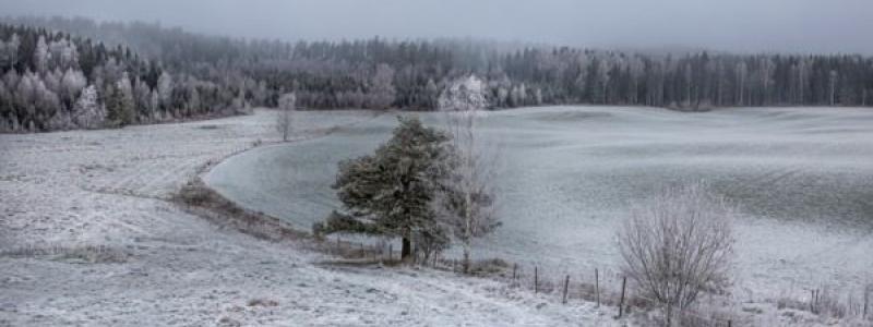 Foto: Landshypotek