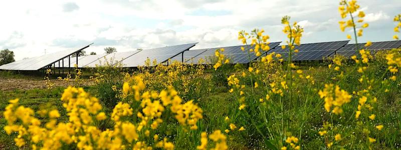 Lipno ligger i provinsen Wielkopolskie i centrala Polen. Photo: Ole Jørgen Bratland / Equinor