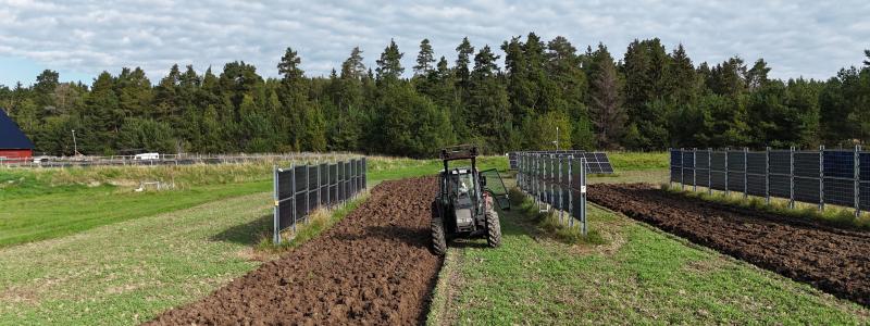 Solpaneler på åkrar kan förändra både energin och jordbruket. Foto: Mälardalens universitet