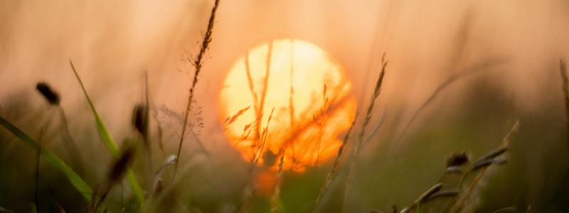 Foto: Ainsley Myles/Unsplash