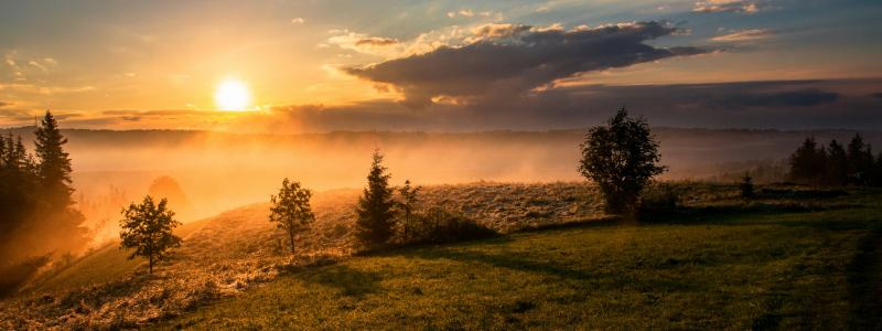 Foto: Dawid Zawiła / Unsplash
