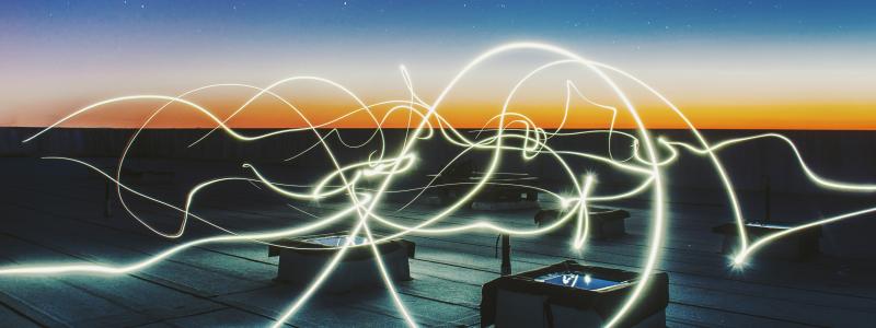 Foto: Federico Beccari/Unsplash