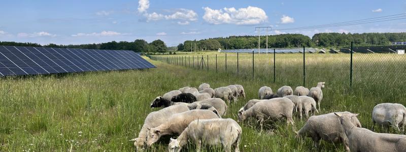 Foto: EnergiEngagemang