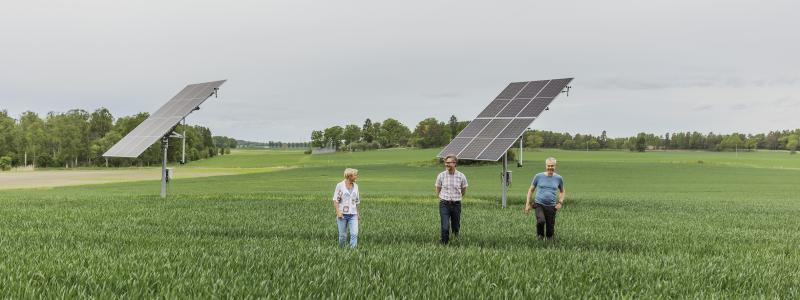 Ny teknik testas – framtidens lantbruk kan drivas av egen ammoniak. Foto: Lina Östling / Solör Bioenergi
