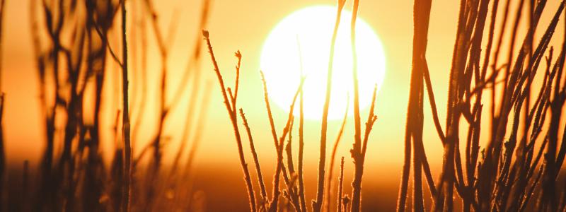 Foto: Jeremy Bishop / Unsplash