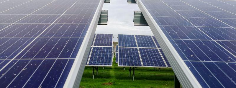 Solpark. Foto: Mariana Proença / Unsplash