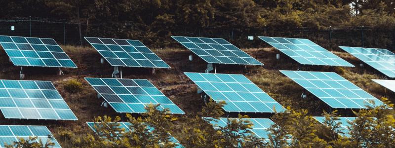 Foto: Moritz Kindler/Unsplash