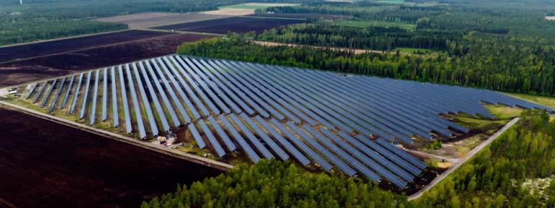 Solenergiparken består av tjugofyra tusen paneler Foto: Solarigo