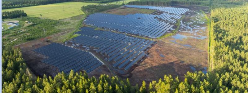 Foto från Henja, Aneos befintliga solkraftverk i Sverige. Foto: Sofia Lewerin. Pressbild Mynewsdesk Aneo