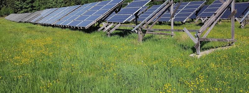 Solpark, symbolbild: Creative Commons Lic, kredit: Stux