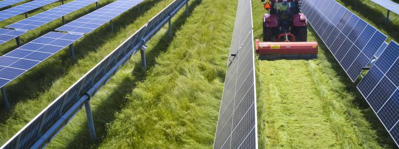 Mat, solel, eller båda två? Frågan om huruvida jordbruksmark ska nyttjas till solcellsparker delar Sverige.  
Foto: European Energy
