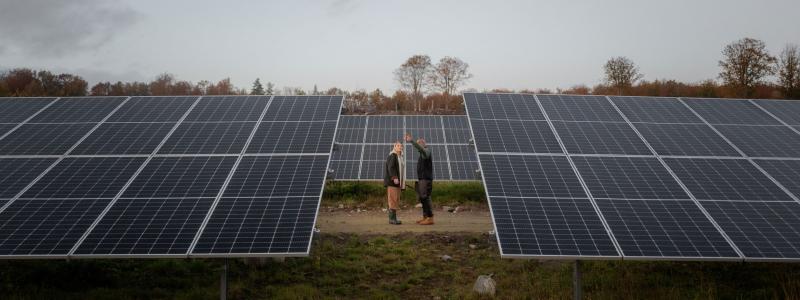 Solenergibranschen har nu nått en mer stabil tillväxtnivå efter rekordåren. Foto: Turn Energy