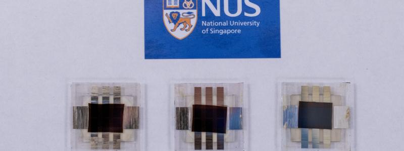 Foto: National University of Singapore