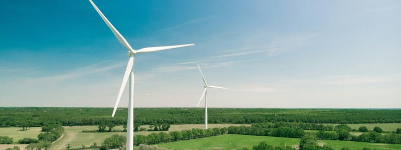 Vinkraft. Foto:  Thomas Réaubourg / Unsplash