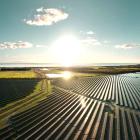 Sol- och batterianläggning i Danmark där Alight och GreenGo Energy samarbetar. Foto: Alight