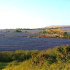 Efter transaktionen uppgår Greencoats operativa solportfölj till cirka 1,9 GWp. Bild: BayWa (Schroders Greencoat).