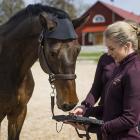 Laura Hirvinen, Sporthästkliniken Häljeby. Pressbild: Energikontoret i Mälardalen