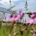 Solpark. Pressbild: EnBW