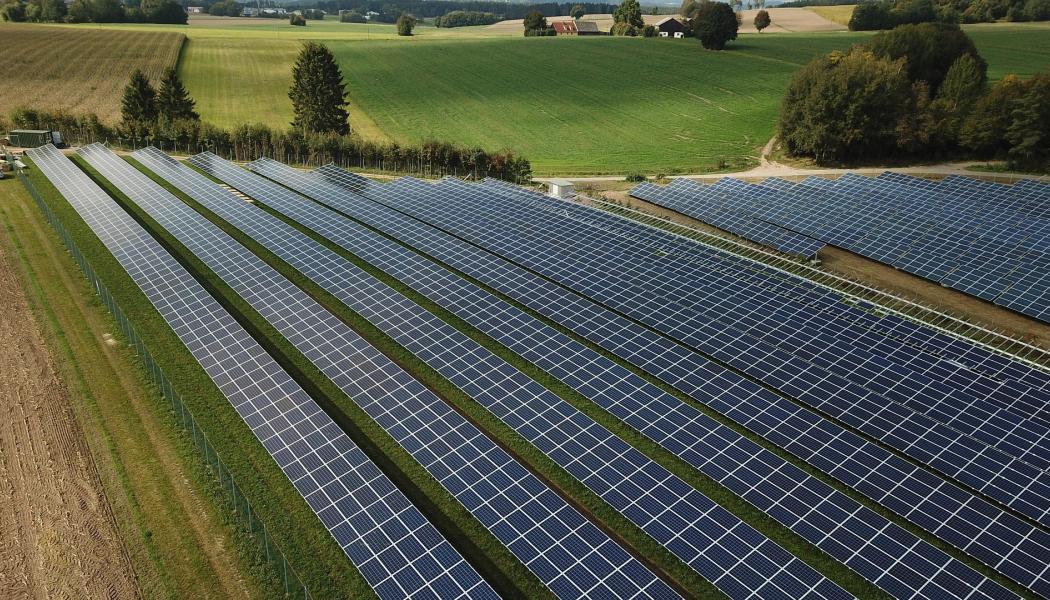 Solceller i skog. Pressbild: Kungl. Skogs- och Lantbruksakademien, KSLA