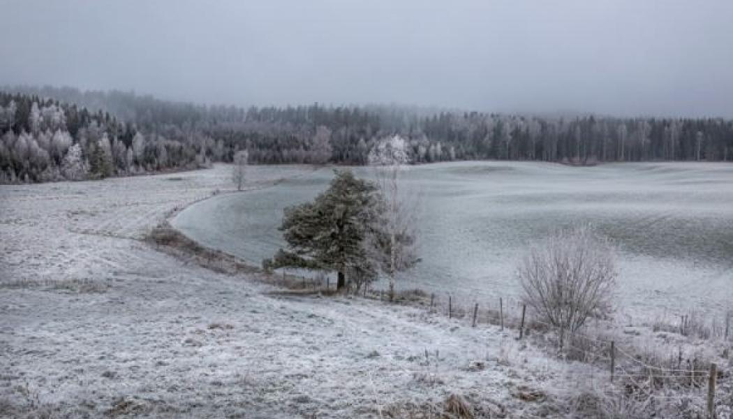 Foto: Landshypotek