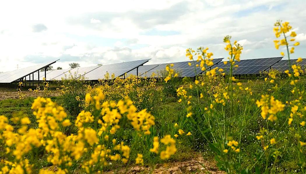 Lipno ligger i provinsen Wielkopolskie i centrala Polen. Photo: Ole Jørgen Bratland / Equinor