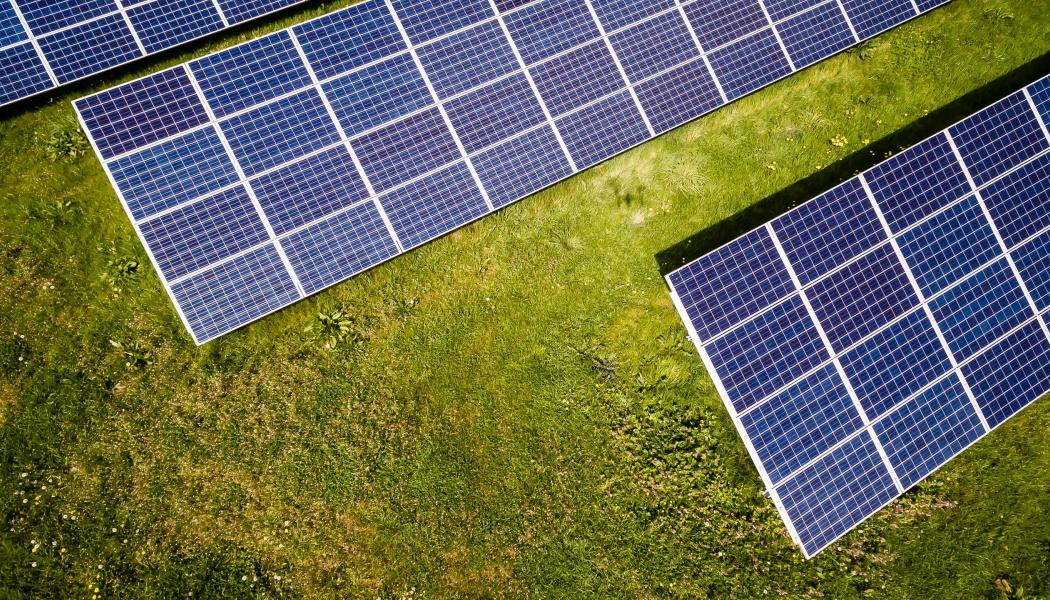 Solpark. Foto: Andreas Gücklhorn / Unsplash
