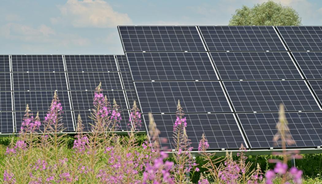 Tillstånd beviljat för solcellspark i Vapnö