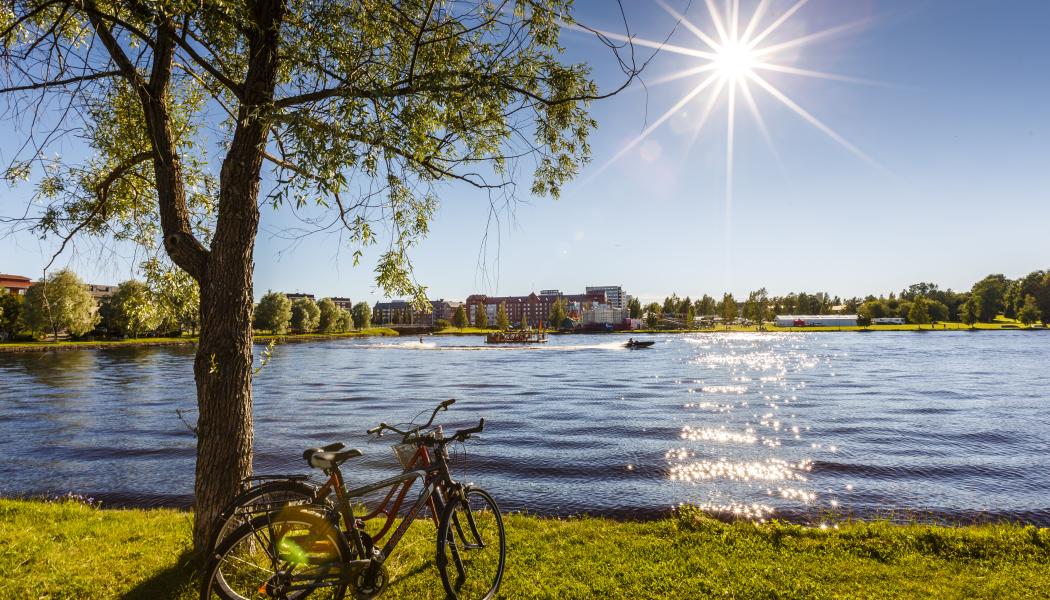 Generell solig sommarbild från Boden. Foto: Mats Engfors/Fotographic