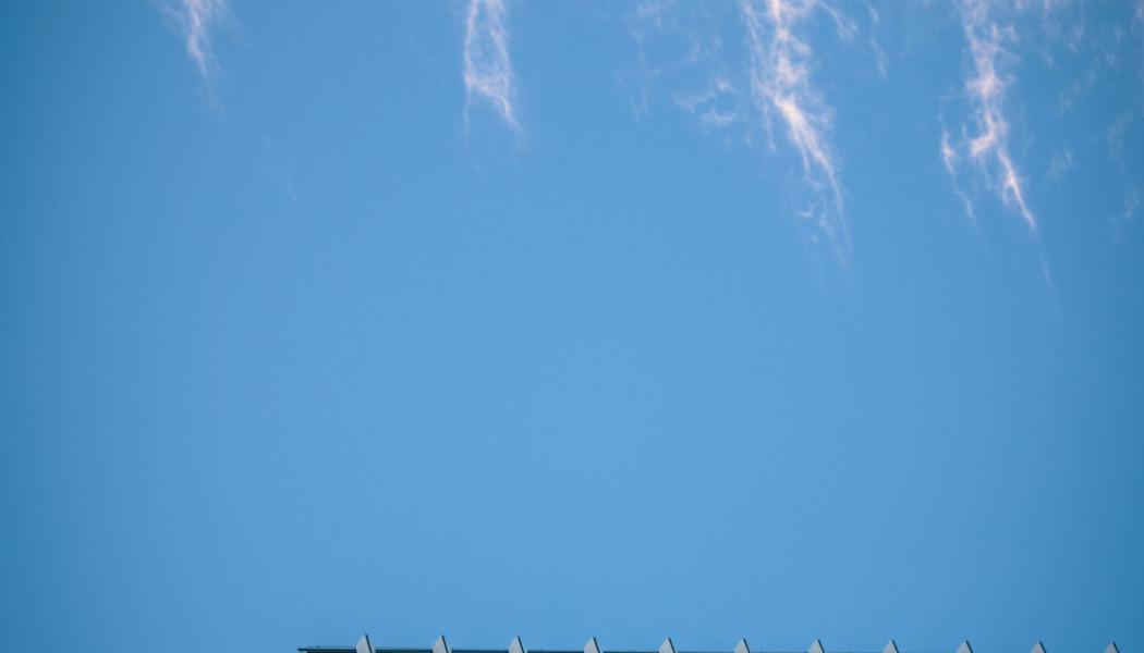 Foto:  Diana den Held / Unsplash
