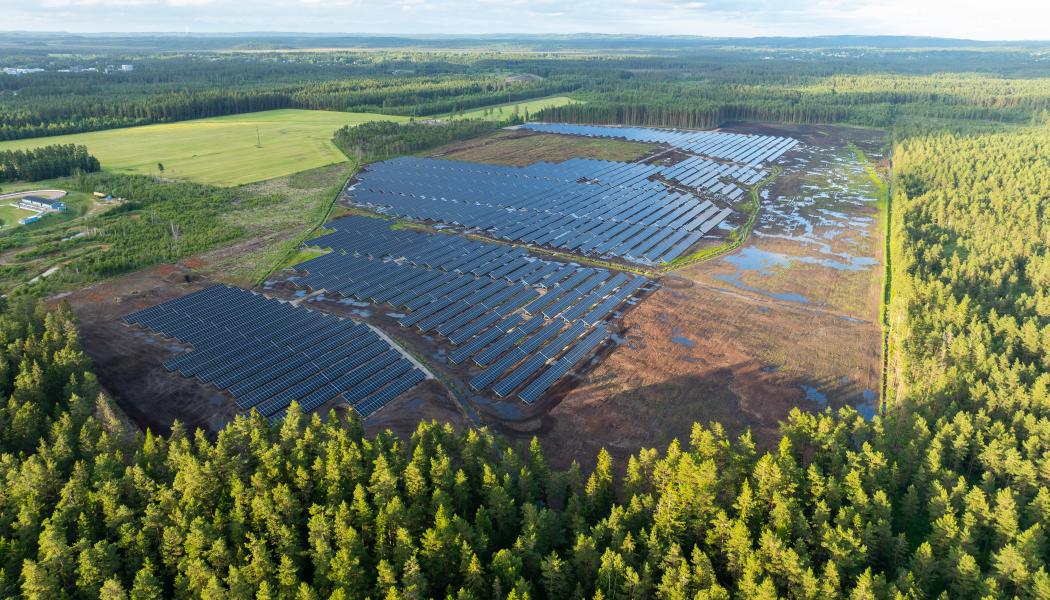 Foto från Henja, Aneos befintliga solkraftverk i Sverige. Foto: Sofia Lewerin.