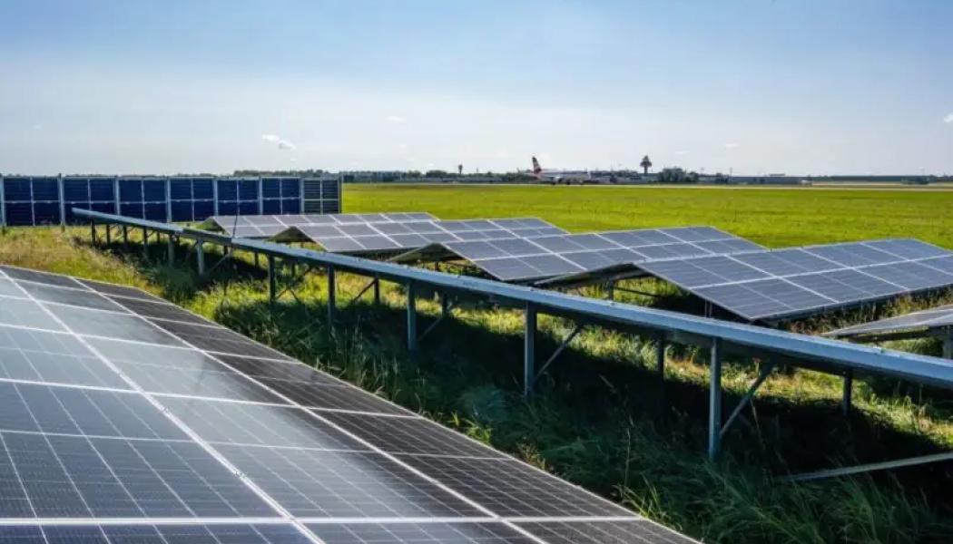Den totala ytan för testanläggningen omfattar 1 250 kvadratmeter och har en installerad maximal kapacitet på cirka 120 kilowatt. Genom att använda olika underkonstruktioner hoppas man kunna samla värdefull information om hur solcellsinstallationer kan påverka markens vegetation och biologiska mångfald. Foto: Hannovers Flygplats