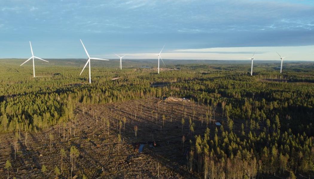 Grevekulla vindpark. Delar av området framför kommer att användas till bygget av solparken. Pressbild: European Energy