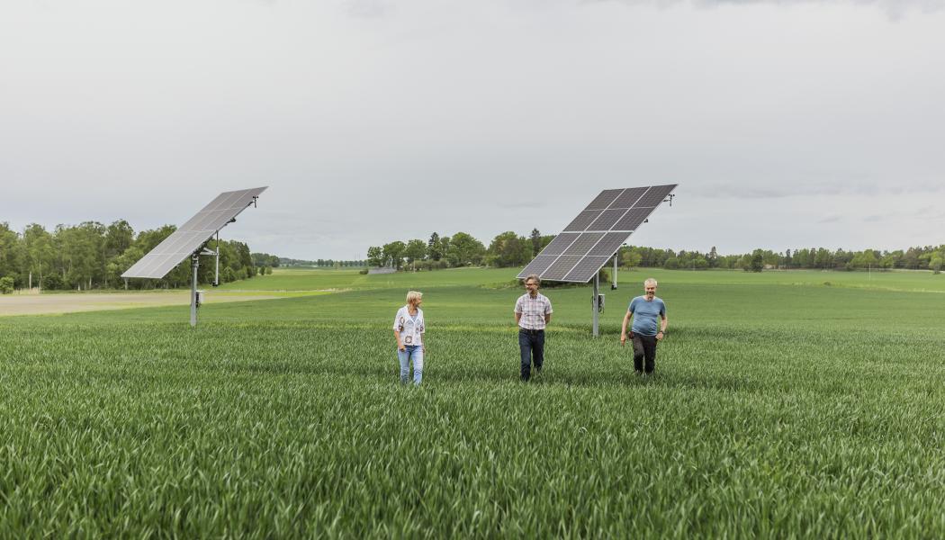 Ny teknik testas – framtidens lantbruk kan drivas av egen ammoniak. Foto: Lina Östling / Solör Bioenergi