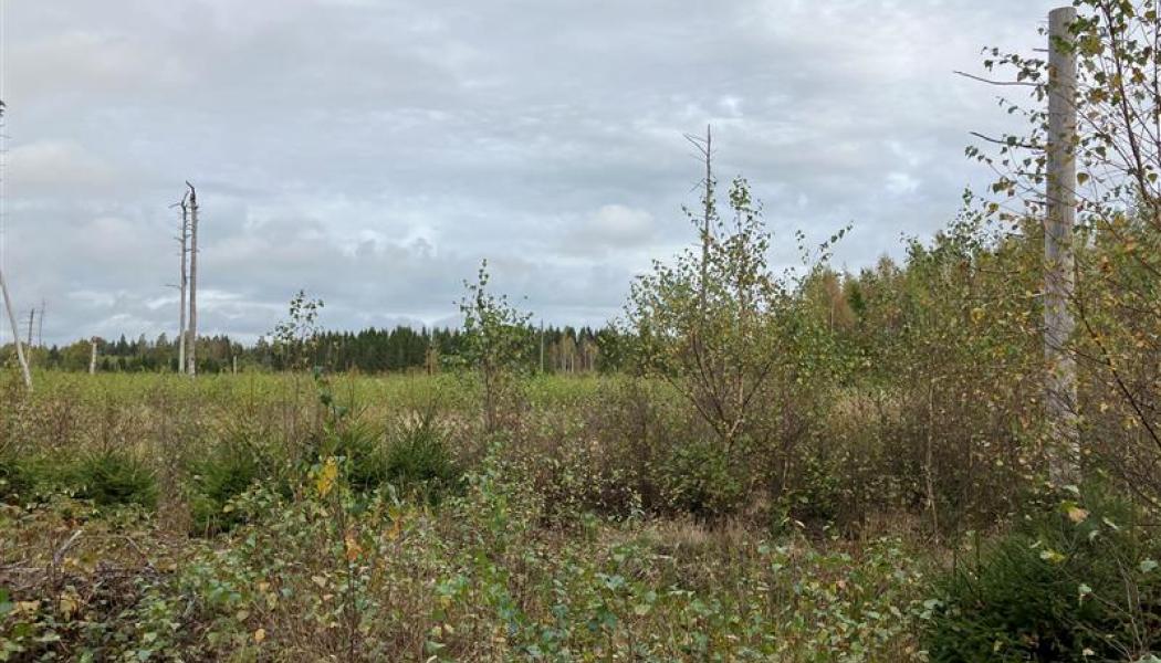 Pressbild: Solkompaniet
