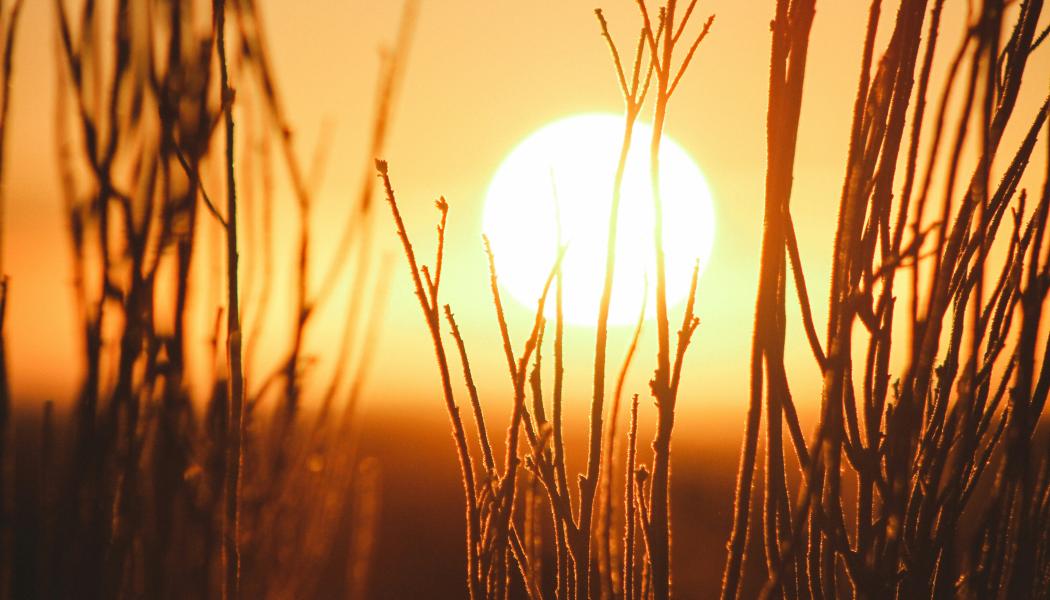 Foto: Jeremy Bishop / Unsplash
