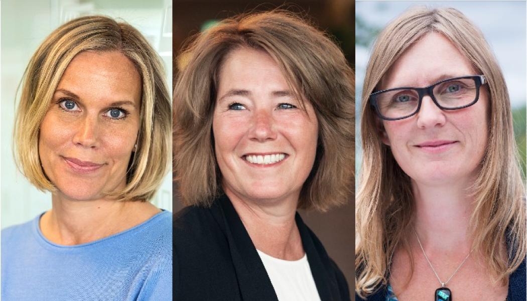 Karolina Brick, hållbarhetschef, Johanna Frelin, vd och Mari-Louise Persson, miljö- och energichef. Foto: Riksbyggen