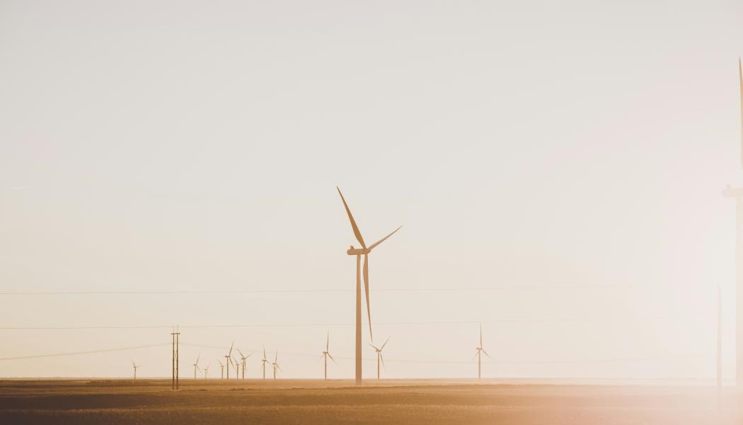 Foto: Katie Moum / Unsplash