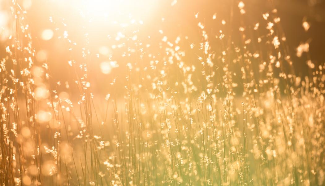 Foto: Kent Pilcher/Unsplash
