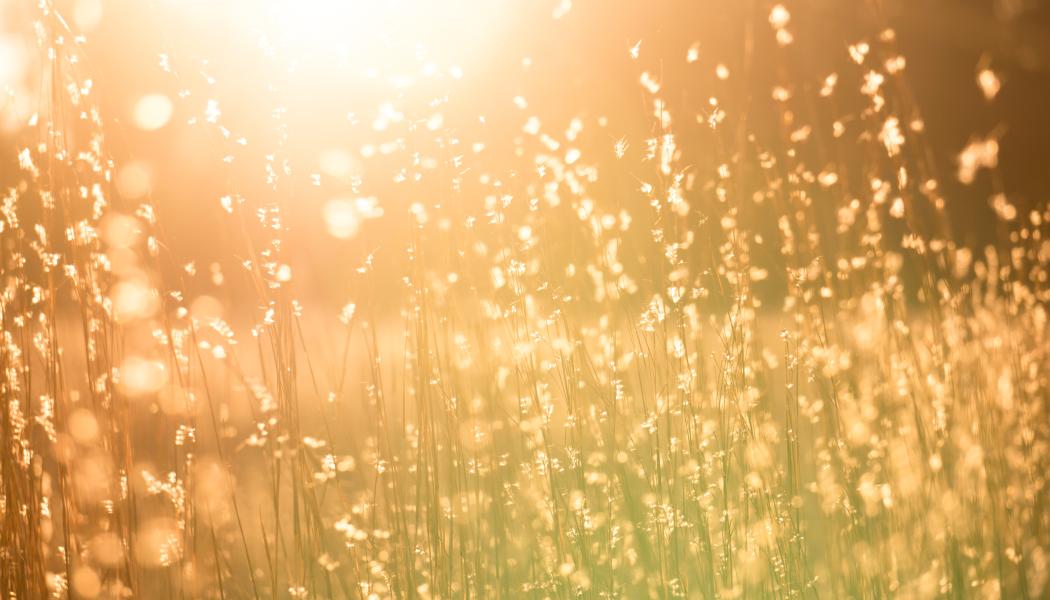 Foto: Kent Pilcher/Unsplash