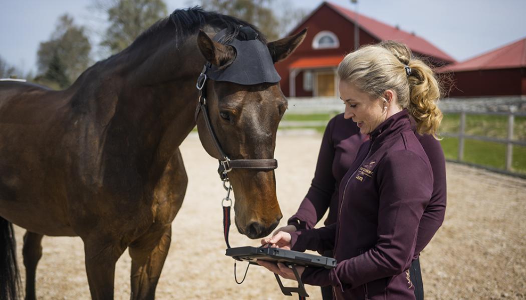 Laura Hirvinen, Sporthästkliniken Häljeby. Pressbild: Energikontoret i Mälardalen