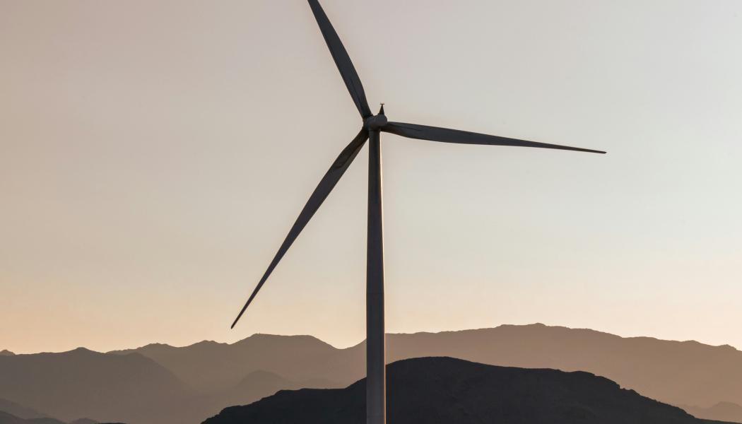 Vindkraftssnurra. Foto: Levan Badzgaradze / Unsplash