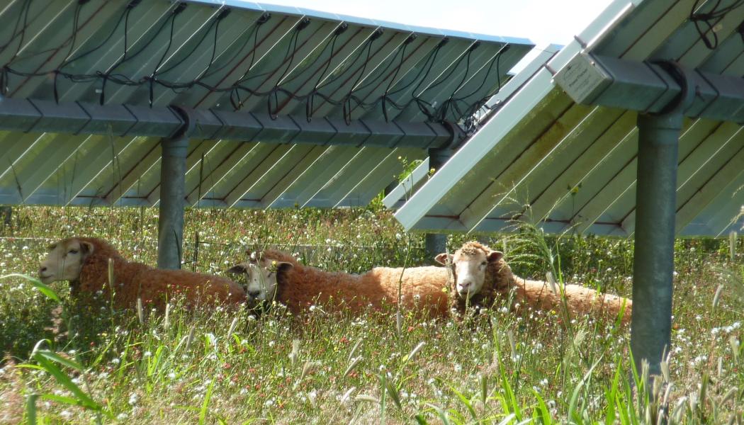 Utställare på Intersolar 2024 med fokus på 